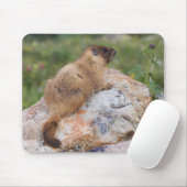 Marmot, Marmota flaviventris, Mousepad (Mit Mouse)