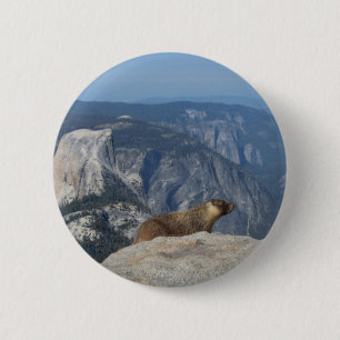 Marmot mit Blick auf den Halbkuppel von der Clouds Button