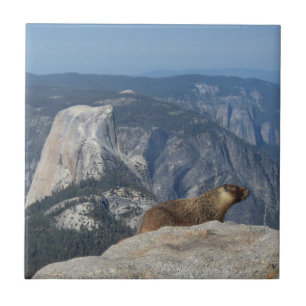 Marmot mit Blick auf den Halbkuppel von der Clouds Fliese