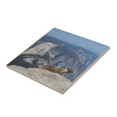 Marmot mit Blick auf den Halbkuppel von der Clouds Fliese (Seite)