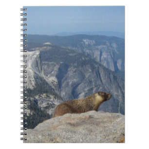 Marmot mit Blick auf den Halbkuppel von der Clouds Notizblock