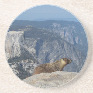 Marmot mit Blick auf den Halbkuppel von der Clouds Sandstein Untersetzer