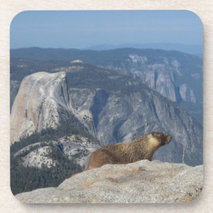 Marmot mit Blick auf den Halbkuppel von der Clouds Untersetzer