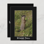 Marmot Motivierend Einladungskarte Einladung (Vorne/Hinten)