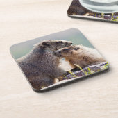 Marmot Mutter mit Baby Getränkeuntersetzer (Linke Seite)