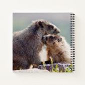 Marmot Mutter mit Baby Notizblock (Rückseite)