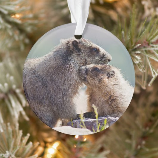 Marmot Mutter mit Baby Ornament (Baum)
