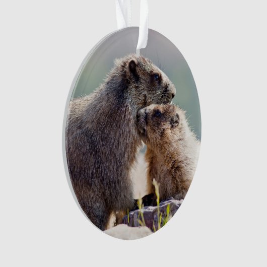 Marmot Mutter mit Baby Ornament (Vorderseite)