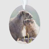 Marmot Mutter mit Baby Ornament (Vorderseite)