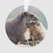Marmot Mutter mit Baby Ornament (Vorderseite)