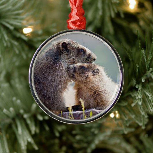 Marmot Mutter mit Baby Ornament Aus Metall (Baum)