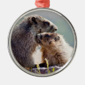 Marmot Mutter mit Baby Ornament Aus Metall (Vorne)