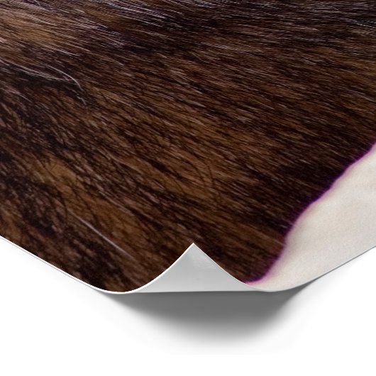 Marmot Mutter mit Baby Poster (Ecke)