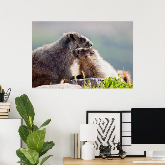 Marmot Mutter mit Baby Poster (Heimbüro)