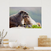 Marmot Mutter mit Baby Poster (Küche)