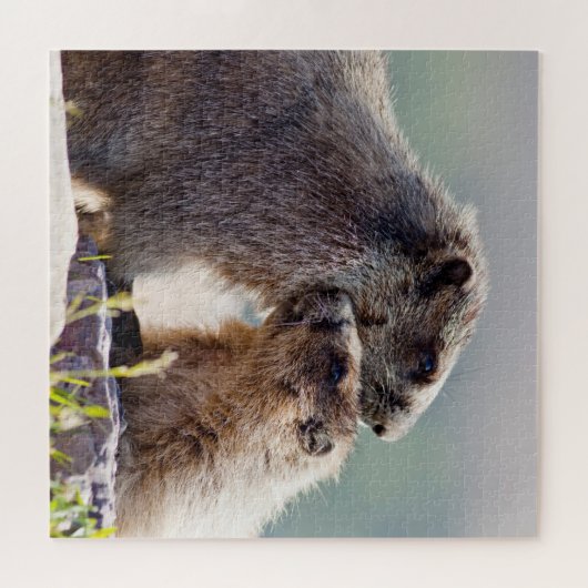 Marmot Mutter mit Baby Puzzle (Horizontal)