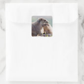 Marmot Mutter mit Baby Quadratischer Aufkleber (Tasche)