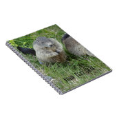 Marmot-Notebook Notizblock (Rechte Seite)