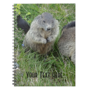 Marmot-Notebook Notizblock