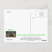 Marmot Postkarte (Rückseite)