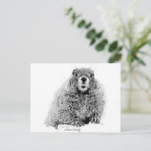 Marmot Postkarte (Stehend Vorderseite)