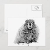 Marmot Postkarte (Vorne/Hinten)