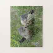 Marmot-Puzzle Puzzle (Vertikal)