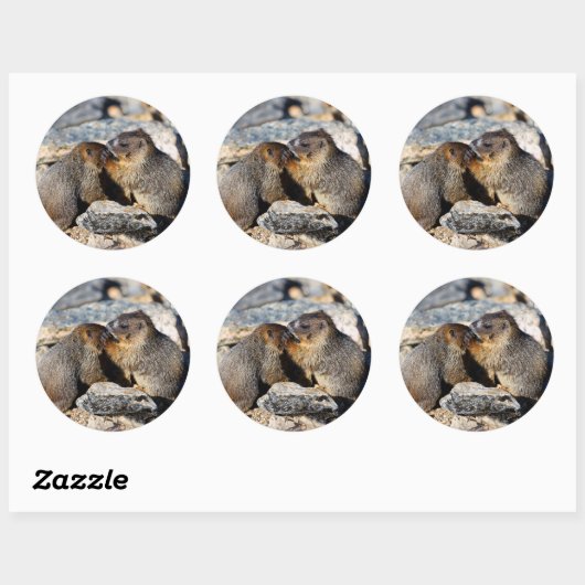 Marmot Runder Aufkleber (Blatt)