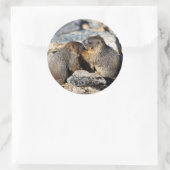 Marmot Runder Aufkleber (Tasche)