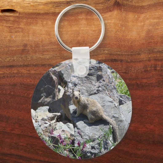 Marmot Schlüsselanhänger (Vorderseite)