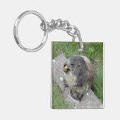 Marmot-Schlüsselkette Schlüsselanhänger (Vorderseite links)