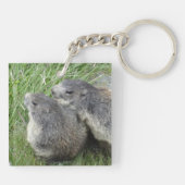 Marmot-Schlüsselkette Schlüsselanhänger (Rückseite)