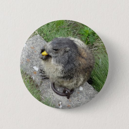 Marmot-Taste Button (Vorderseite)