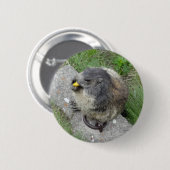 Marmot-Taste Button (Vorne & Hinten)