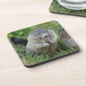 Marmot Untersetzer (Linke Seite)