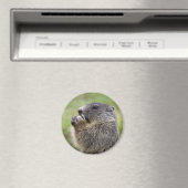 Marmota Magnet (In Situ (Geschirrspüler))