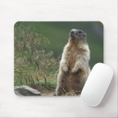 Marmota Mousepad (Mit Mouse)