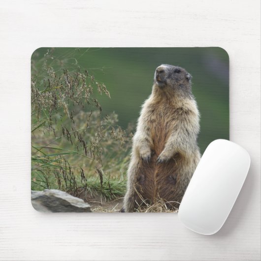 Marmota Mousepad (Mit Mouse)