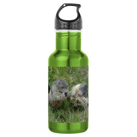 Marmots Edelstahlflasche (Vorderseite)