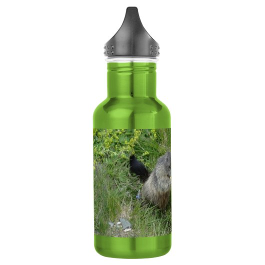 Marmots Edelstahlflasche (Links)