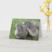 Marmots Grußkarte Karte (Gelbe Blume)