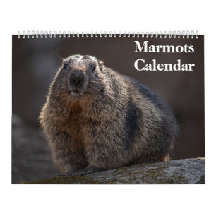 Marmots-Kalender 2025 Kalender
