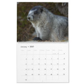 Marmots-Kalender 2025 Kalender (Jan 2027)