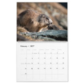 Marmots-Kalender 2025 Kalender (Feb 2027)