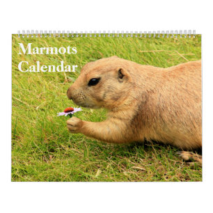 Marmots-Kalender 2025 Kalender