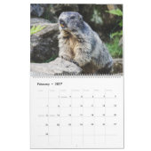 Marmots-Kalender 2026 Kalender (Feb 2027)