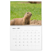 Marmots-Kalender 2026 Kalender (Mär 2027)