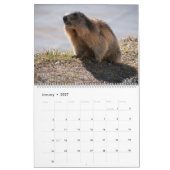 Marmots-Kalender 2026 Kalender (Jan 2027)
