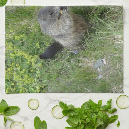 Marmots Küchentücher (Gefaltet)