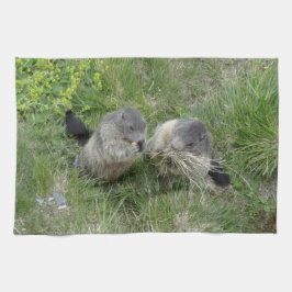Marmots Küchentücher